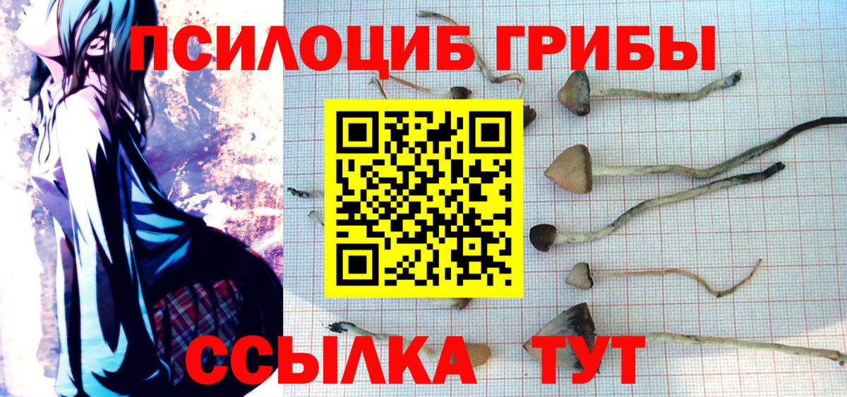 Псилоцибиновые грибы Cubensis Бахчисарай