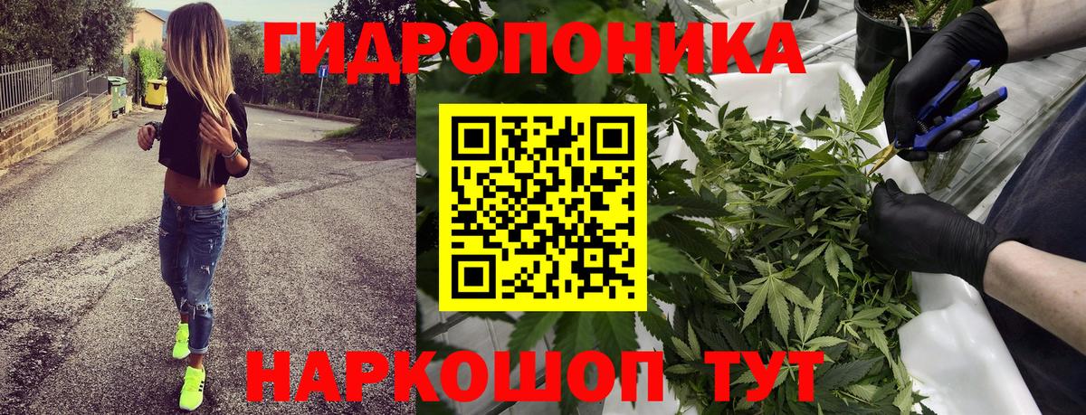 Бошки Шишки гибрид Бахчисарай